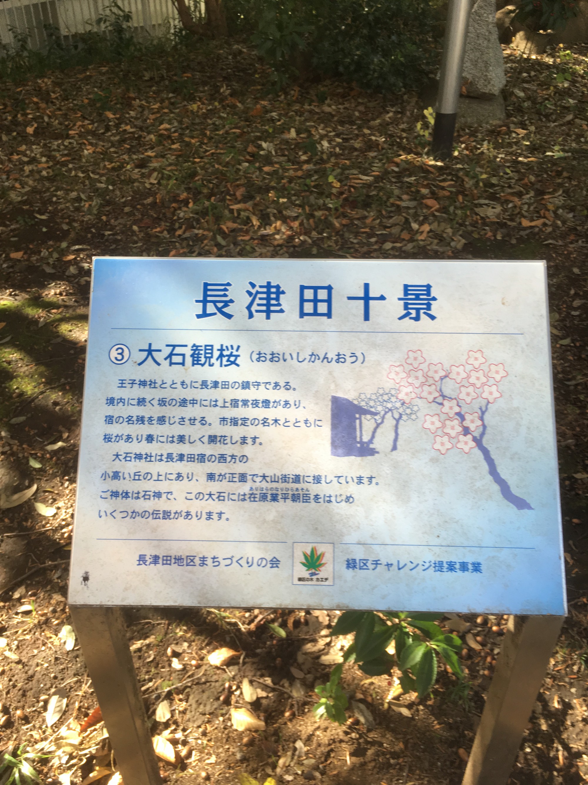 大石神社 株式会社プロパート